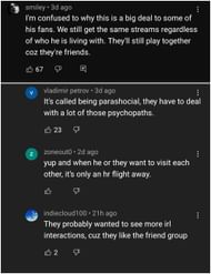 Some YouTube commenters call out Sykkuno fans for being too parasocial, saying this isn't a big deal (Image via YouTube)